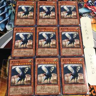 裁きの龍 5 ノーマル 9枚セット てら