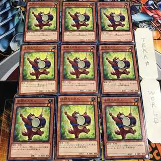 子狸たんたん 2 ノーマル 9枚セット てら