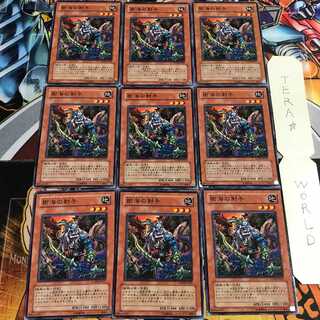 樹海の射手 1 ノーマル 9枚セット てら