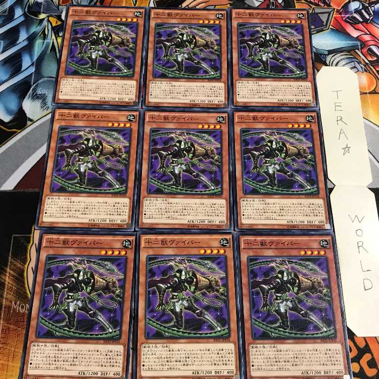 Zoodiac Whiptail 2 Normal, set of 9 Tera.