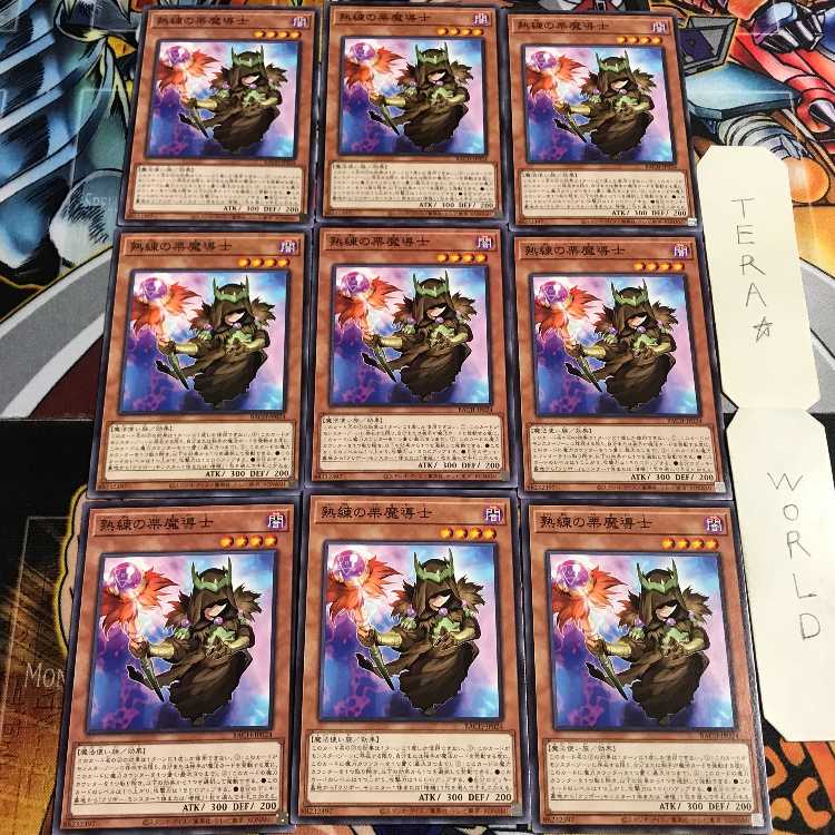 熟練の栗魔導士 1 ノーマル 9枚セット てら