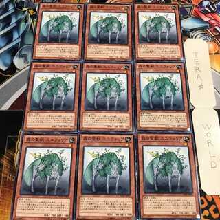 森の聖獣 ユニフォリア 3 ノーマル 9枚セット てら