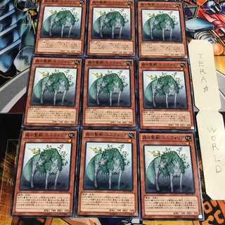 森の聖獣 ユニフォリア 5 ノーマル 9枚セット てら