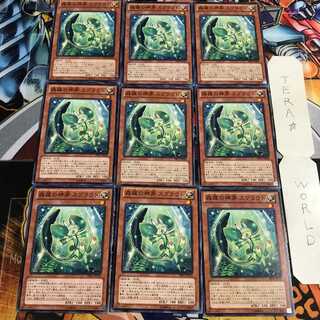 森羅の神芽 スプラウト 1 ノーマル 9枚セット てら