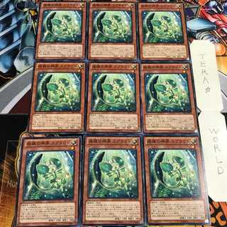 森羅の神芽 スプラウト 2 ノーマル 9枚セット てら