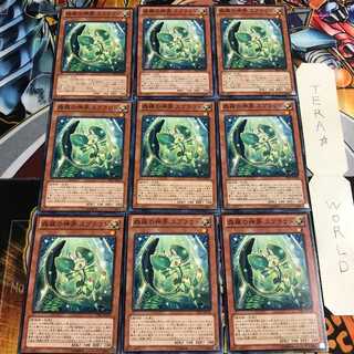 森羅の神芽 スプラウト 3 ノーマル 9枚セット てら