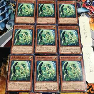 森羅の神芽 スプラウト 4 ノーマル 9枚セット てら