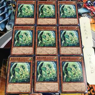 森羅の神芽 スプラウト 5 ノーマル 9枚セット てら