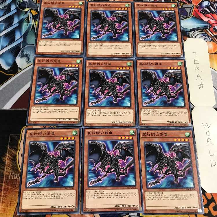 真紅眼の飛竜 6 ノーマル 9枚セット てら