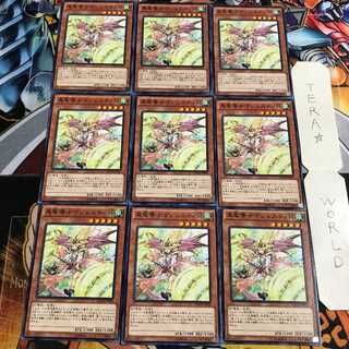 真竜導士マジェスティM 3 ノーマル 9枚セット てら