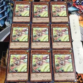 Majesty Maiden, the True Dracocaster 4 Normal, set of 9 Tera.