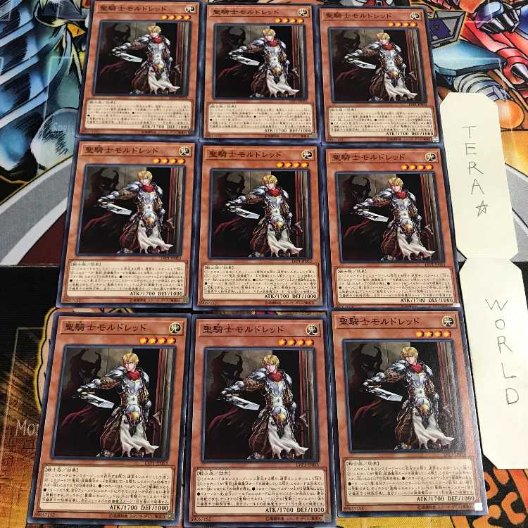 聖騎士モルドレッド 2 ノーマル 9枚セット てら