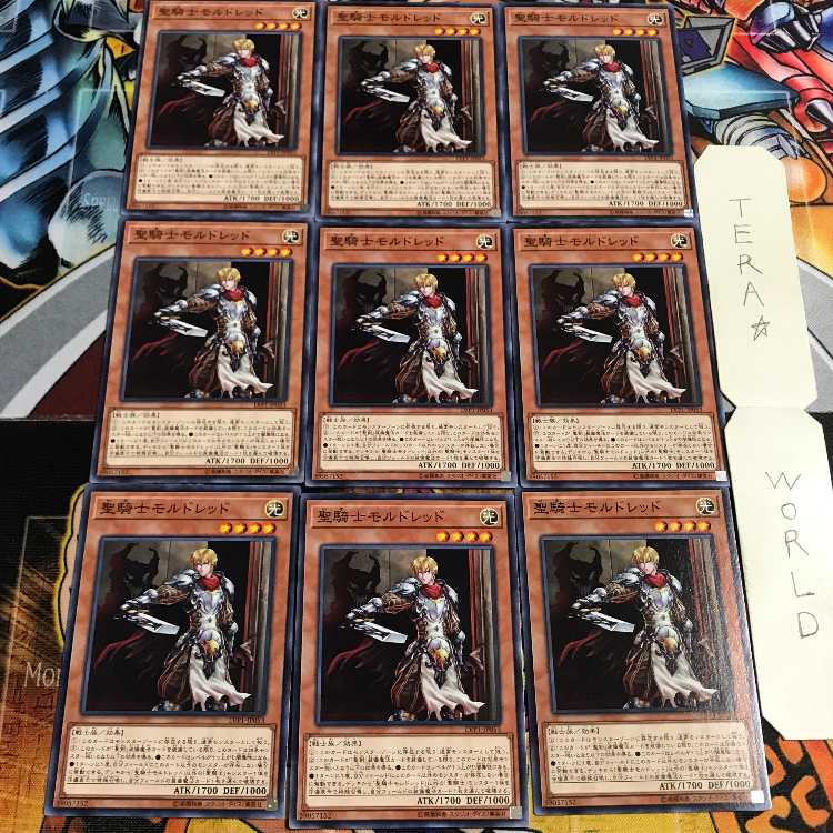 聖騎士モルドレッド 4 ノーマル 9枚セット てら