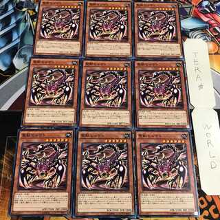 聖獣セルケト 1 ノーマル 9枚セット てら