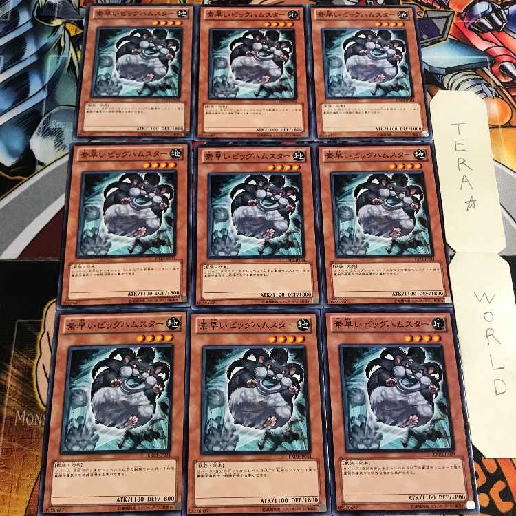 Super-Nimble Mega Hamster 5 Normal, set of 9 Tera