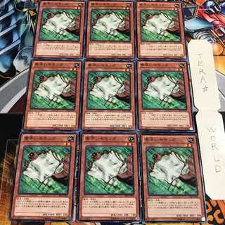 素早いモモンガ 2 ノーマル 9枚セット てら