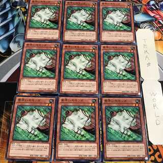 Nimble Momonga 5 Normal, set of 9 Tera