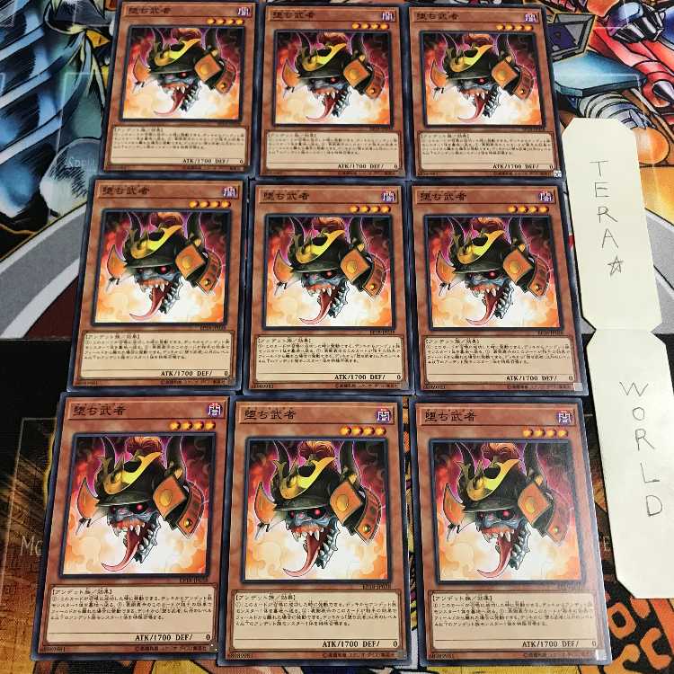 堕ち武者 5 ノーマル 9枚セット てら