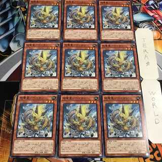 地竜星-ヘイカン 5 ノーマル 9枚セット てら