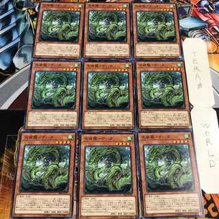 天威龍-ナハタ 1 ノーマル 9枚セット てら