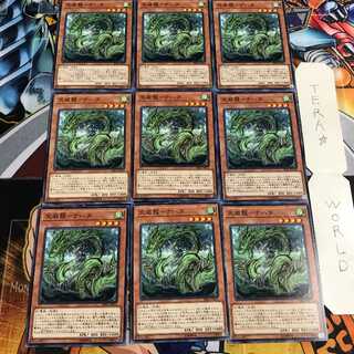 天威龍-ナハタ 5 ノーマル 9枚セット てら