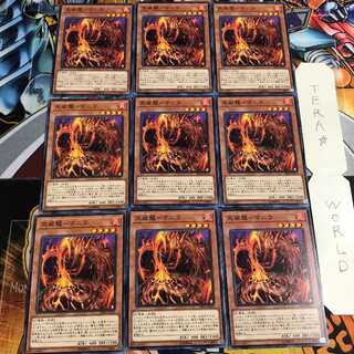 天威龍-マニラ 1 ノーマル 9枚セット てら