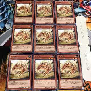 土地鋸 1 ノーマル 9枚セット てら