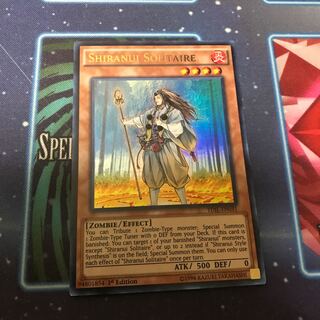 不知火の隠者 1枚