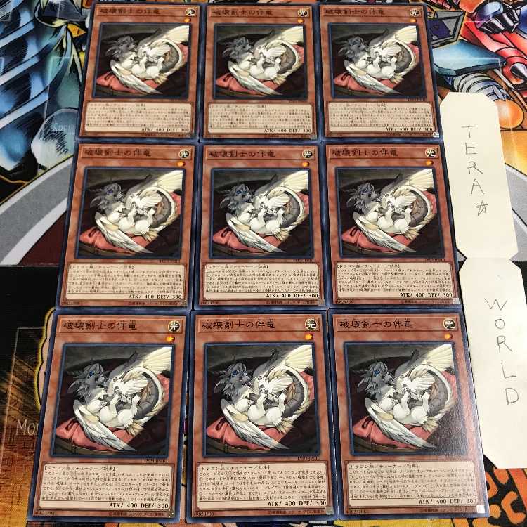 破壊剣士の伴竜 2 ノーマル 9枚セット てら