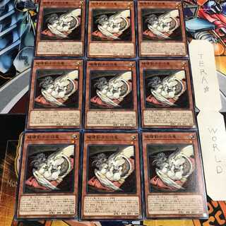 破壊剣士の伴竜 3 ノーマル 9枚セット てら