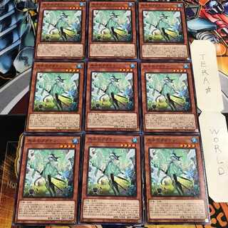 氷水のアクティ 2 ノーマル 9枚セット てら