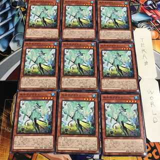 氷水のアクティ 3 ノーマル 9枚セット てら