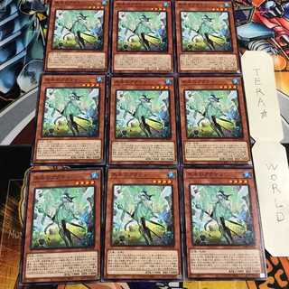 氷水のアクティ 4 ノーマル 9枚セット てら