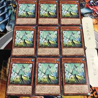 氷水のアクティ 5 ノーマル 9枚セット てら