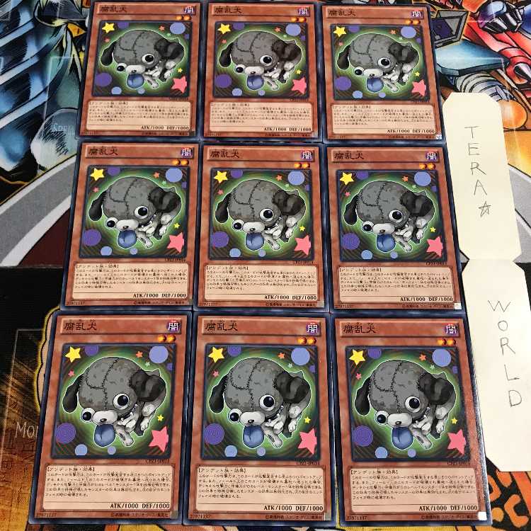 腐乱犬 4 ノーマル 9枚セット てら