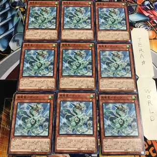 風竜星-ホロウ 2 ノーマル 9枚セット てら