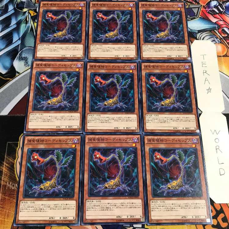 捕食植物コーディセップス 2 ノーマル 9枚セット てら