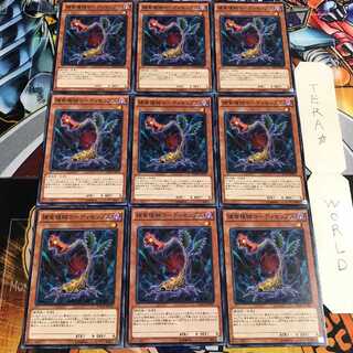 捕食植物コーディセップス 2 ノーマル 9枚セット てら