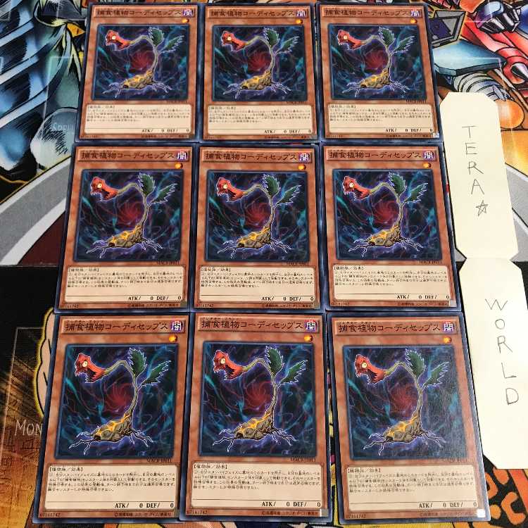 捕食植物コーディセップス 3 ノーマル 9枚セット てら