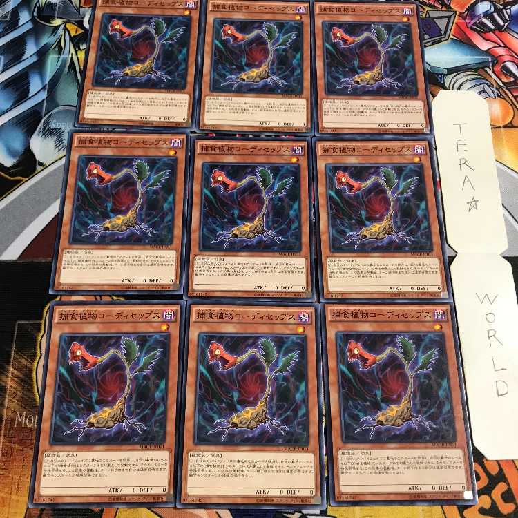 捕食植物コーディセップス 5 ノーマル 9枚セット てら