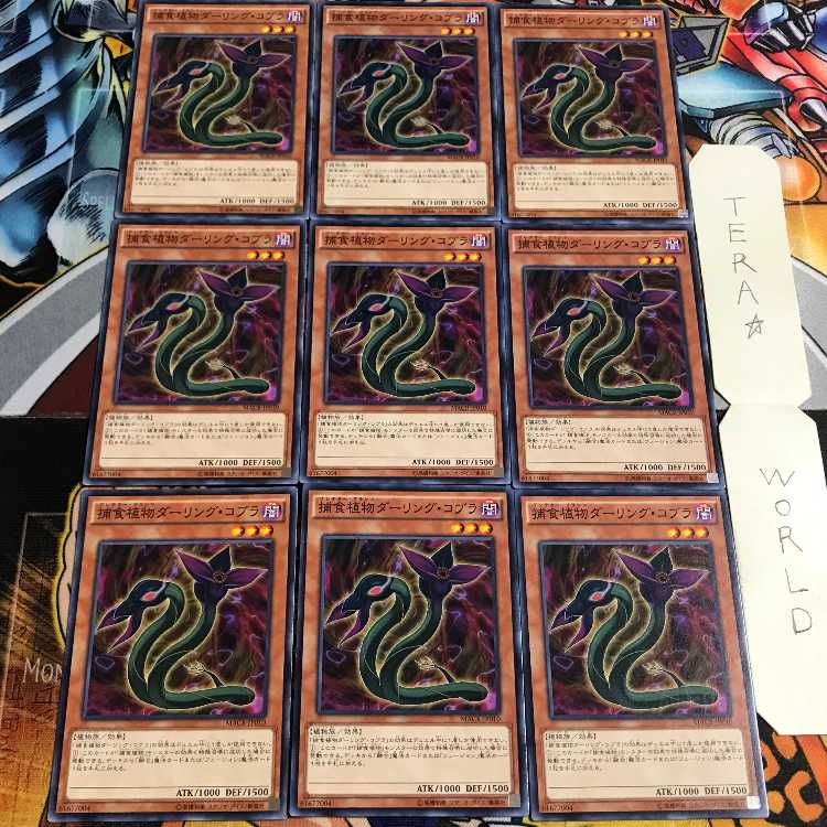 Predaplant Darlingtonia Cobra 5 Normal 9-card set Tera