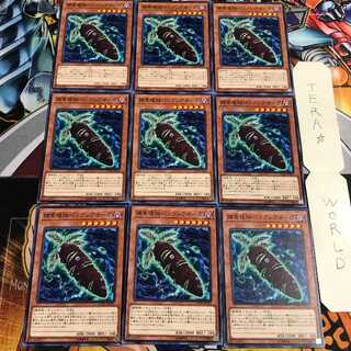 捕食植物バンクシアオーガ 1 ノーマル 9枚セット てら