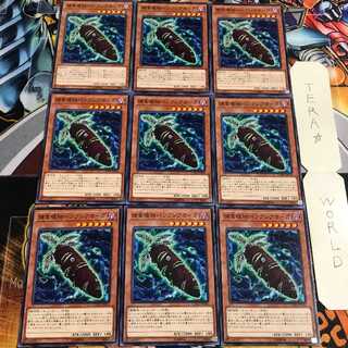 捕食植物バンクシアオーガ 3 ノーマル 9枚セット てら