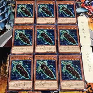 捕食植物バンクシアオーガ 4 ノーマル 9枚セット てら