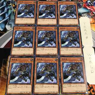 Mezuki 3 Normal, set of 9 Tera.