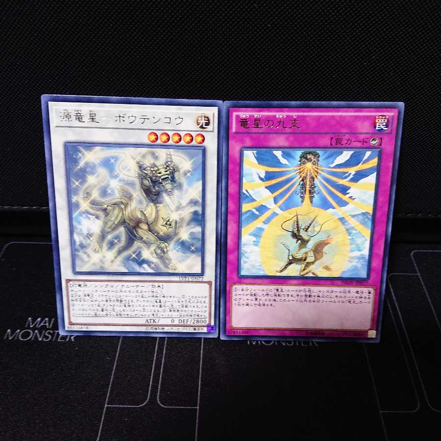 ボウテンコウ  竜星の九支