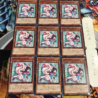 Fairy Denki - Shirayuki 1 Normal, set of 9 Tera