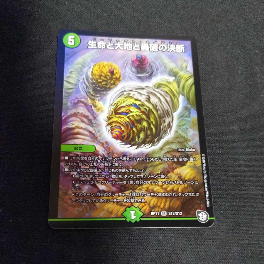 Life Life, Earth and Roaring Decision SR S12/S12