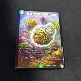 Life Life, Earth and Roaring Decision SR S12/S12