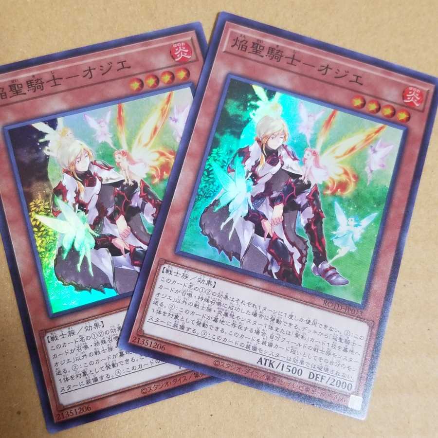 Flame Holy Knight Ozier